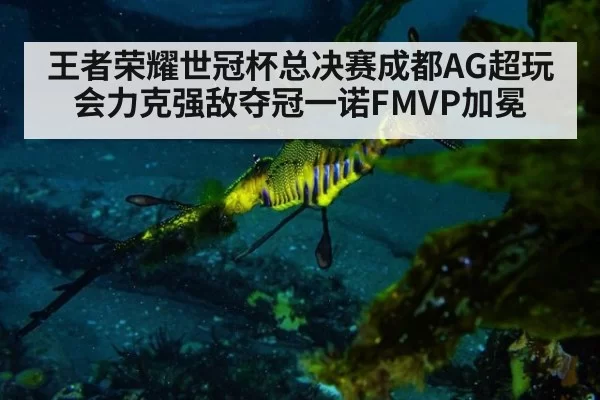 王者荣耀世冠杯总决赛成都AG超玩会力克强敌夺冠一诺FMVP加冕