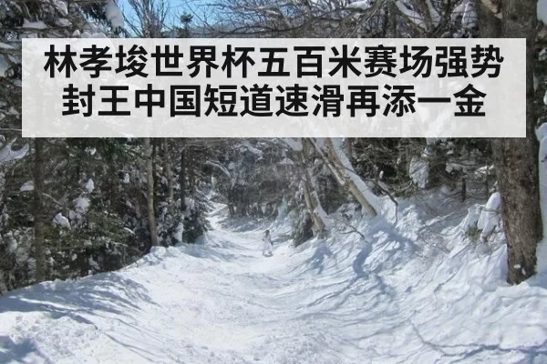 林孝埈世界杯五百米赛场强势封王中国短道速滑再添一金