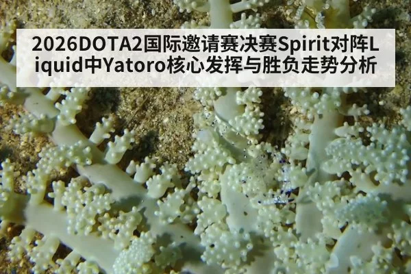 2026DOTA2国际邀请赛决赛Spirit对阵Liquid中Yatoro核心发挥与胜负走势分析